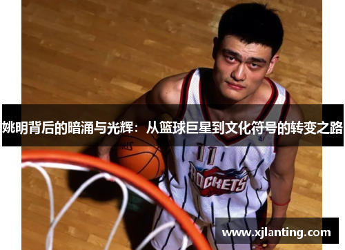 姚明背后的暗涌与光辉：从篮球巨星到文化符号的转变之路