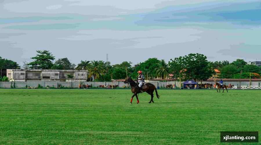 熊猫体育直播🏃 热血赛场，见证每一刻突破！